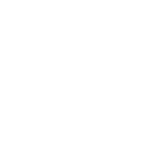 premium quality service